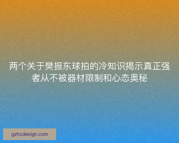 两个关于樊振东球拍的冷知识揭示真正强者从不被器材限制和心态奥秘 两个关于樊振东球拍的冷知识揭示真正强者从不被器材限制和心态奥秘